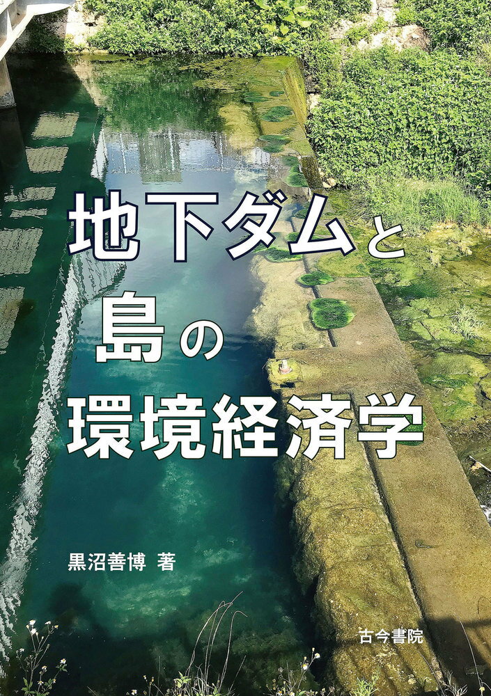 地下ダムと島の環境経済学 [ 黒沼　善博 ]