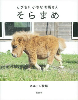 とびきり小さなお馬さん そらまめの表紙