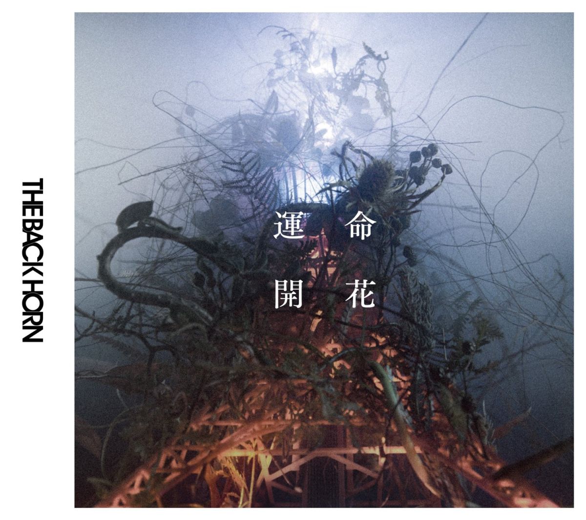 運命開花 (初回限定盤 CD＋DVD) [ THE BACK HORN ]