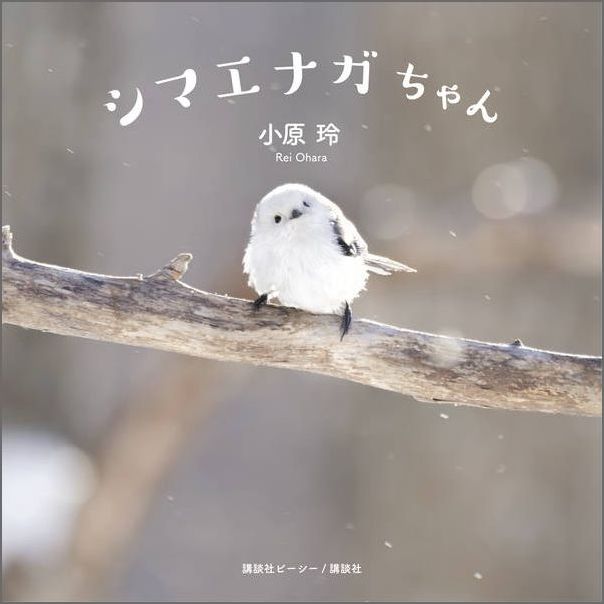 いつでも“雪の妖精”に会えるー。北海道で暮らすかわいい小鳥シマエナガの初写真集！