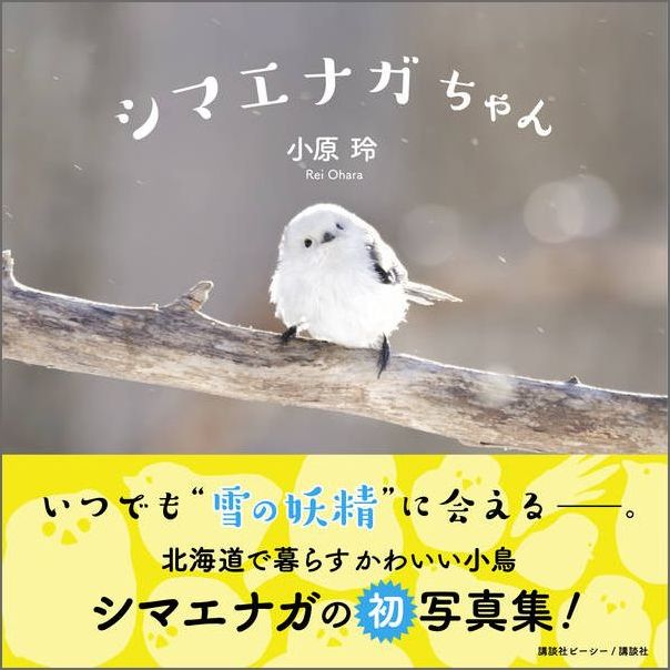 楽天市場 シマエナガちゃん 小原 玲 楽天ブックス 未購入を含む みんなのレビュー 口コミ