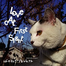 Love Cat First Sight [ ばかねこプロジェクト ]