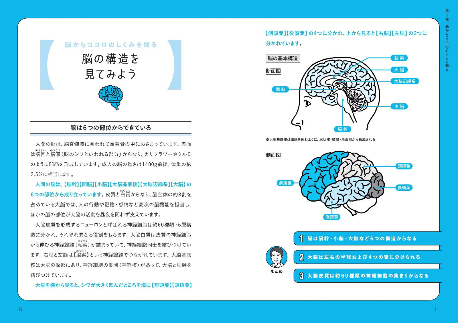 イラスト図解　脳とココロのしくみ入門 [ 加藤俊徳 ]