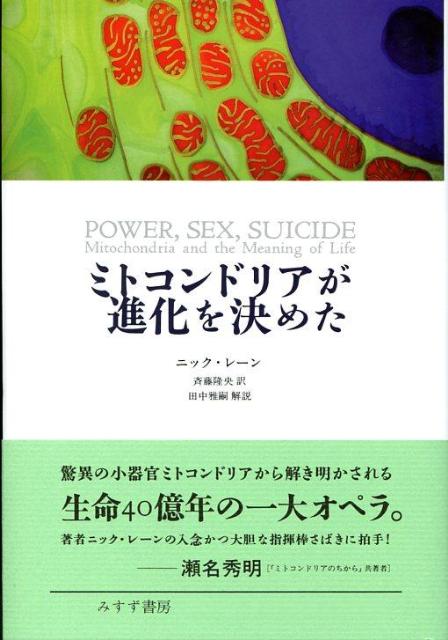 ミトコンドリアが進化を決めた