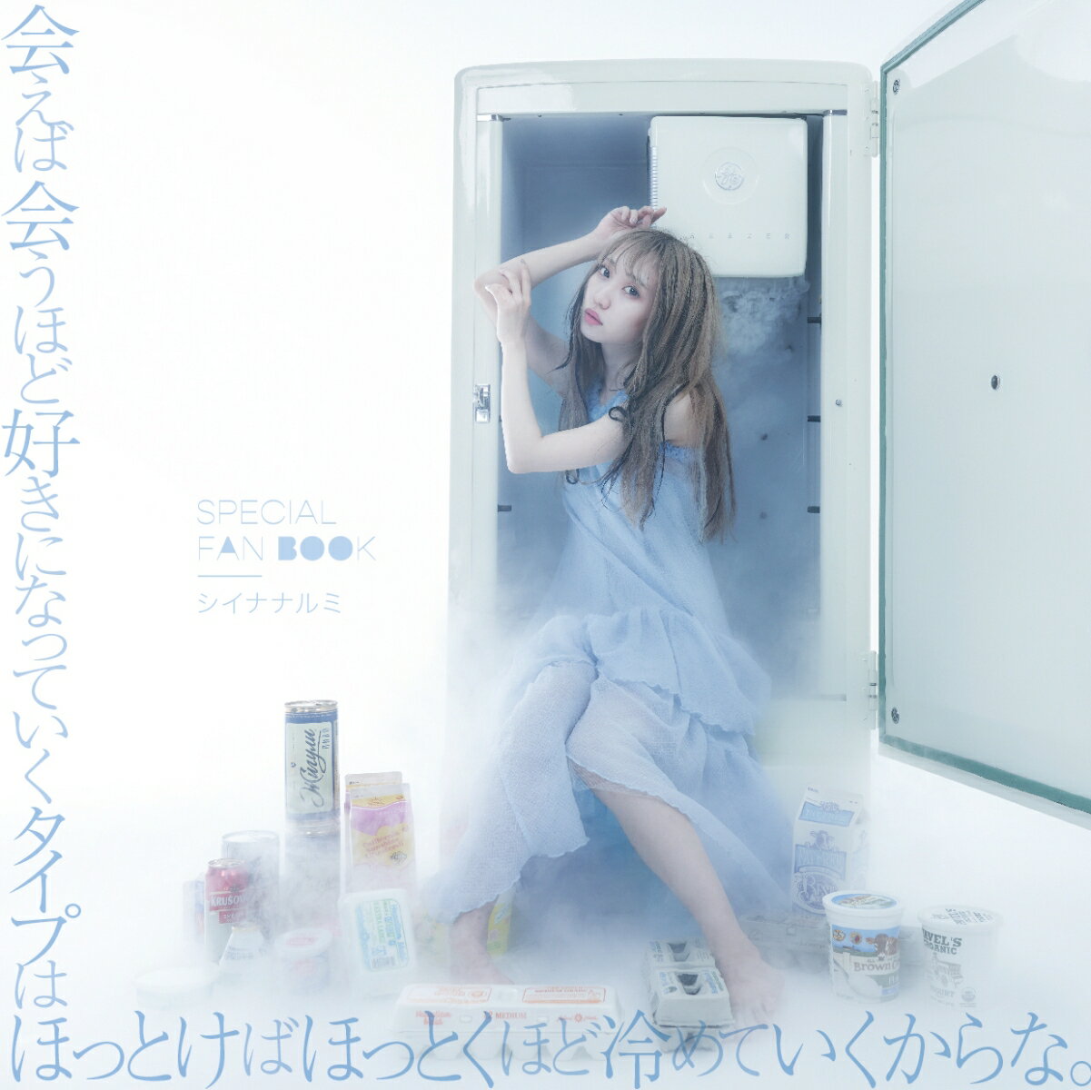 SPECIAL FAN BOOK シイナナルミ [ シイナナルミ ]