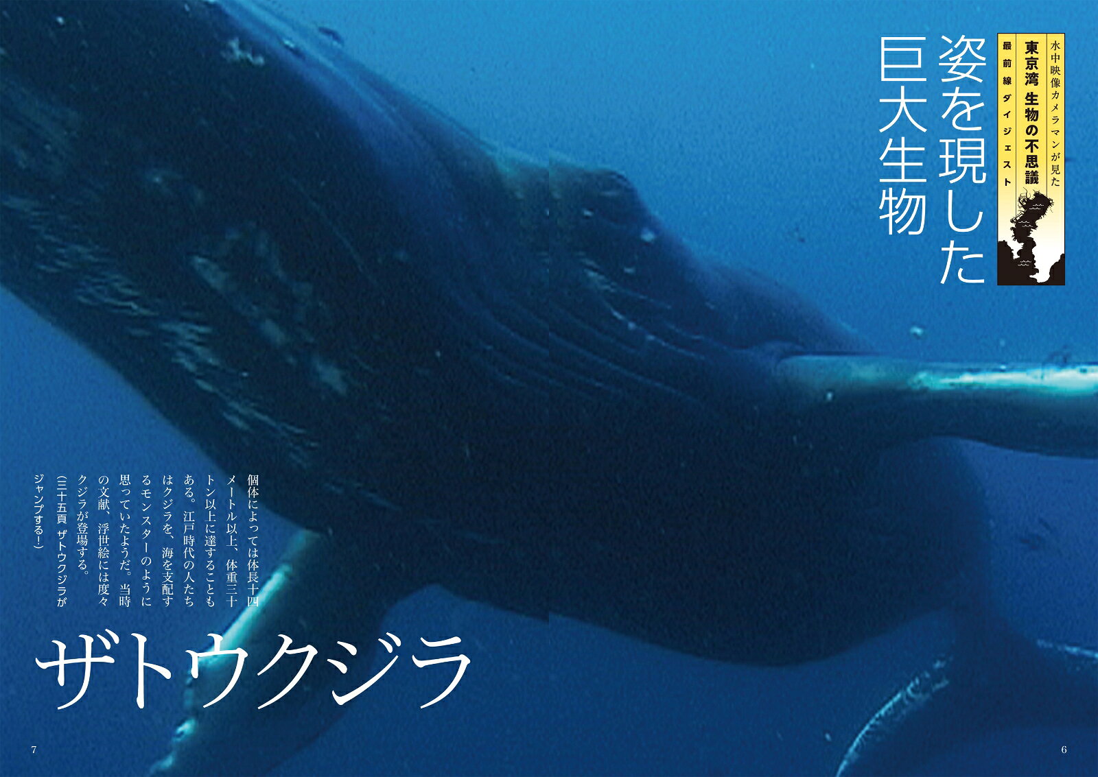 「江戸前の海」が「サンゴ礁の海」になる？東京湾 生物の不思議・最前線 [ 尾崎 幸司 ] book-19766889 楽天ブックス サンプル画像2