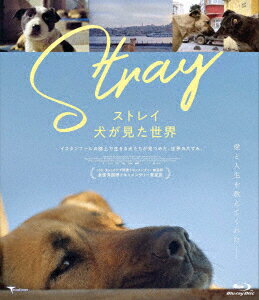 ストレイ 犬が見た世界【Blu-ray】