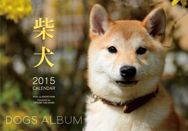 ドッグズアルバム「柴犬」カレンダー（2015）