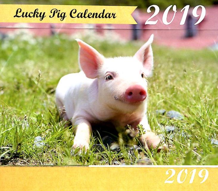 Lucky　Pig　Calendar （［カレンダー］）