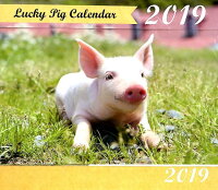 Lucky Pig Calendar