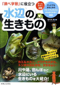 「調べ学習」に役立つ水辺の生きもの オールカラー図鑑 [ 佐々木洋 ]