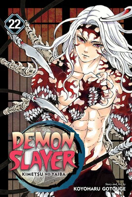 DEMON SLAYER:KIMETSU NO YAIBA #22(P)