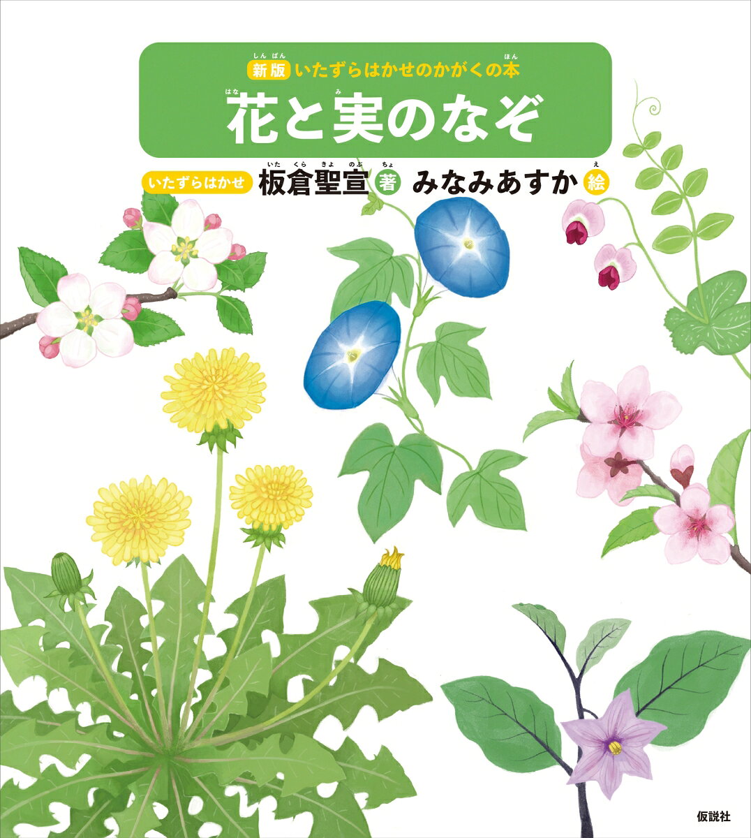 花と実のなぞ ／板倉聖宣/みなみあすか （仮説社）