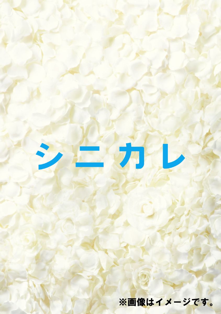シニカレ完全版　DVD-BOX [ 藤ヶ谷太輔 ]
