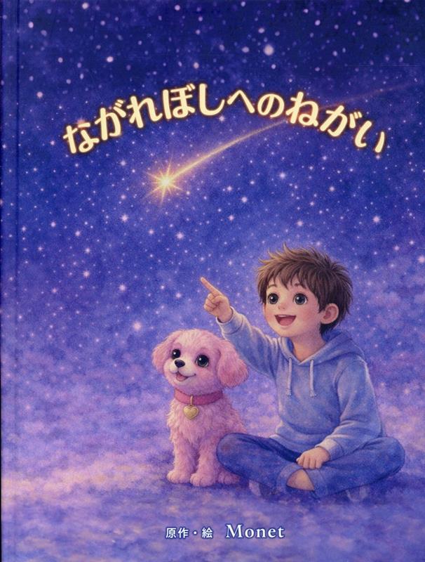 ながれぼしへのねがい