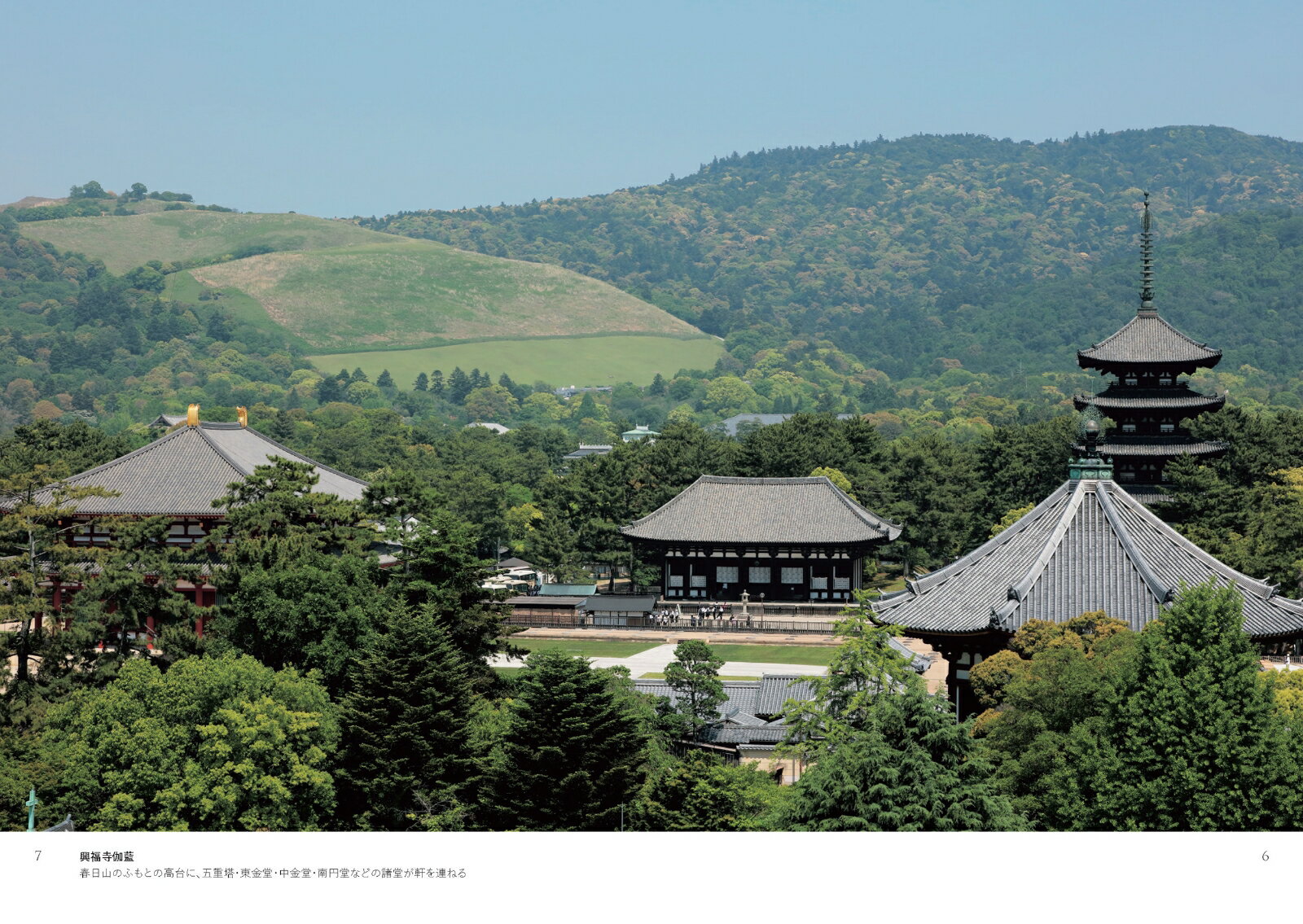 興福寺のひみつ52 [ 興福寺 ] 3