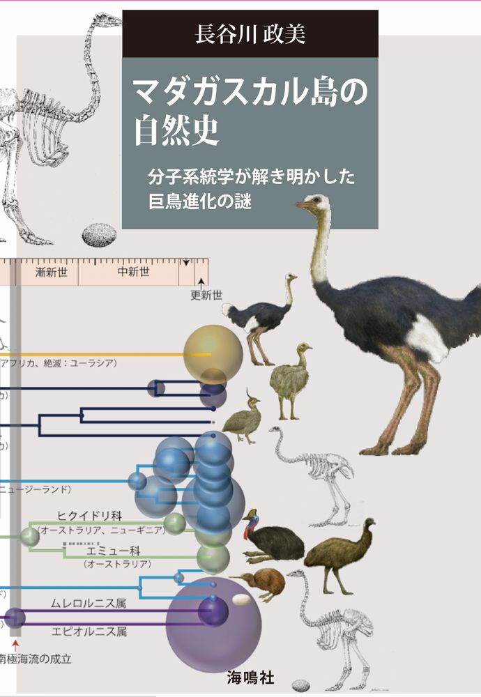 マダガスカル島の自然史 分子系統学が解き明かした巨鳥進化の謎 [ 長谷川政美 ]