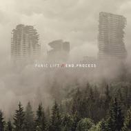 【輸入盤】End Process