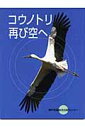 コウノトリ再び空へ