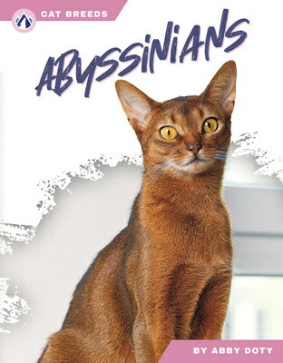 Abyssinians ABYSSINIANS 