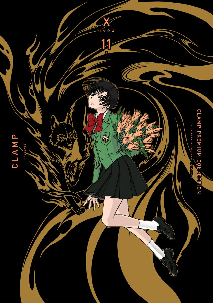 CLAMP　PREMIUM　COLLECTION　X　（11）