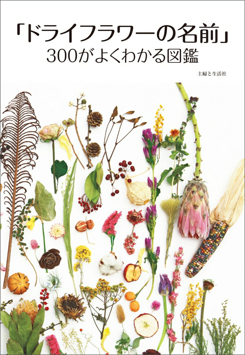 「ドライフラワーの名前」300がよくわかる図鑑 [ 主婦と生活社 ]