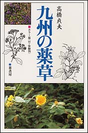 九州の薬草