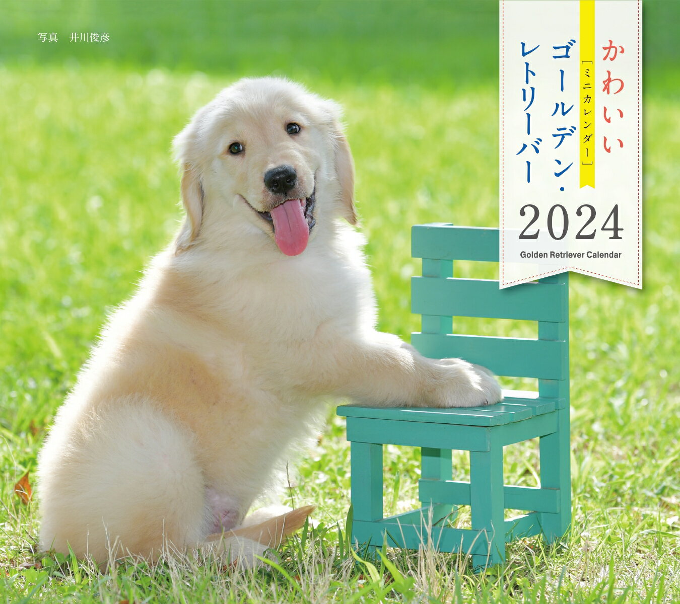 2024年カレンダー かわいいゴールデン・レトリーバー