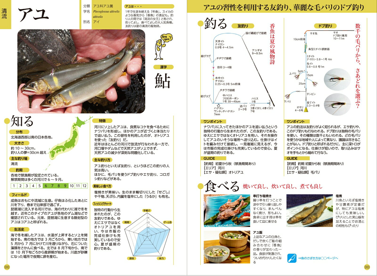 さかな・釣り検索 「特徴 仕掛け さばき方」が分かる672頁超図鑑 [ つり人社 ] 2