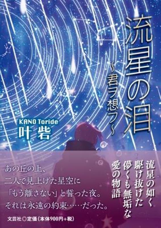 流星の泪～君ヲ想フ～ [ 叶砦 ]