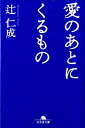 愛のあとにくるもの （幻冬舎文庫） 辻仁成