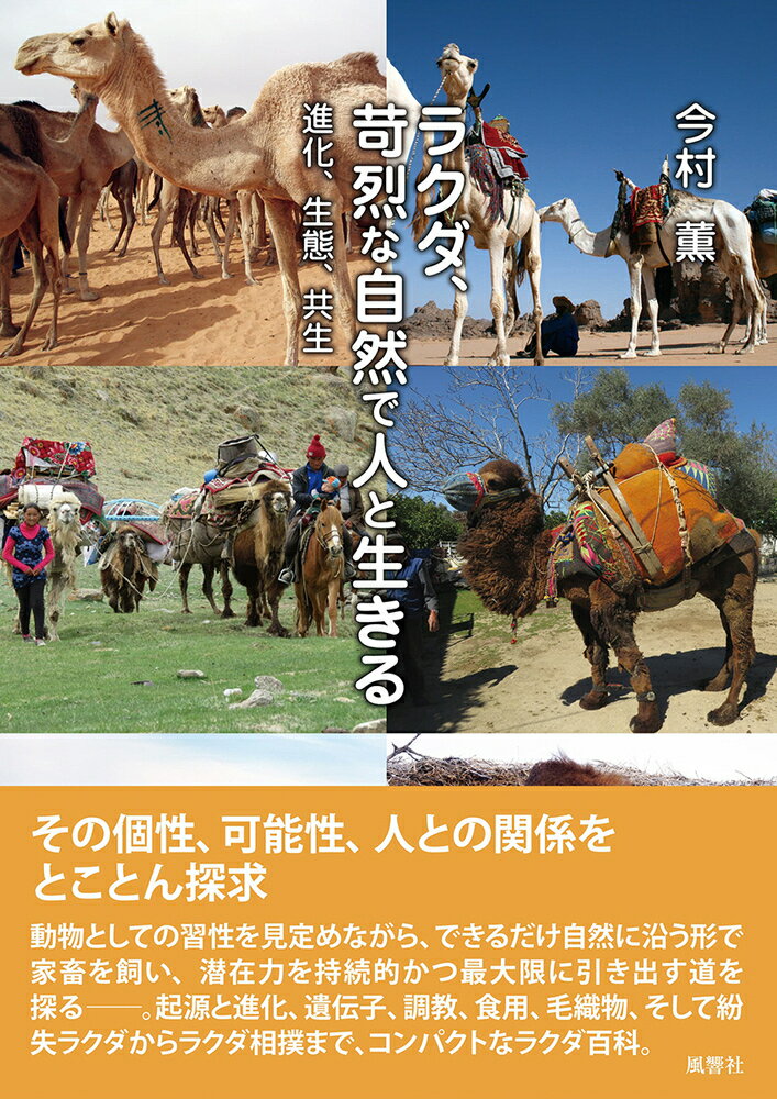 その個性、可能性、人との関係をとことん探求。動物としての習性を見定めながら、できるだけ自然に沿う形で家畜を飼い、潜在力を持続的かつ最大限に引き出す道を探るー。起源と進化、遺伝子、調教、食用、毛織物、そして紛失ラクダからラクダ相撲まで、コンパクトなラクダ百科。