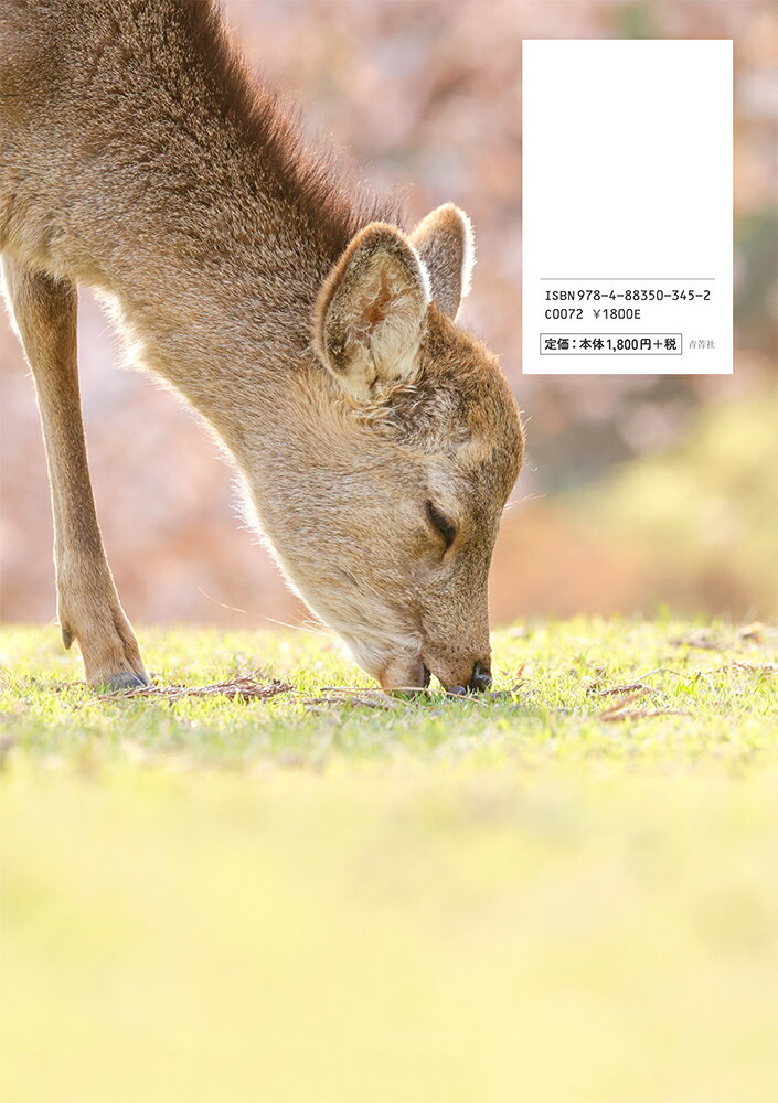 明日、シカに会いに行こうー奈良公園で見つけた幸せのかたちー [ 佐藤和斗 ] 2