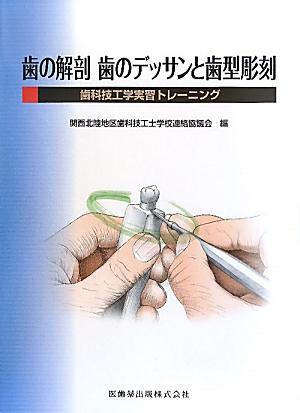 歯の解剖歯のデッサンと歯型彫刻 歯科技工学実習トレーニング 関西北陸地区歯科技工士学校連絡協議会