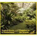 【輸入盤】Tropical Drums Of Deutschland