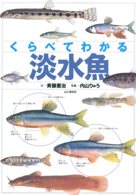 くらべてわかる淡水魚 識別ポイントで見分ける [ 斉藤憲治 ]