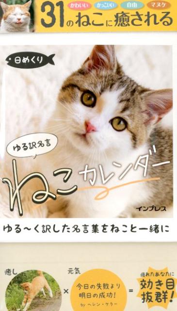 日めくりゆる訳名言ねこカレンダー