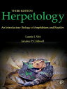 ŷ֥å㤨HERPETOLOGY 3/E(H [ LAURIE J./CALDWELL VITT, JANALEE P. ]פβǤʤ11,497ߤˤʤޤ