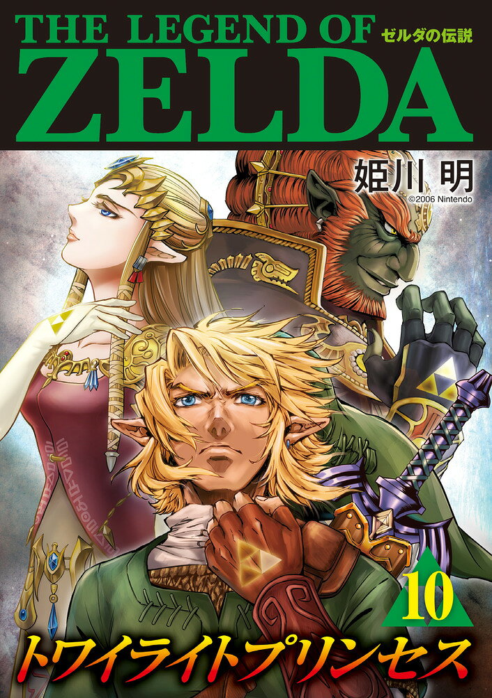ゼルダの伝説 トワイライトプリンセス（10）