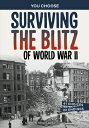 Surviving the Blitz of World War II: A History-Seeking Adventure SURVIVING THE B...