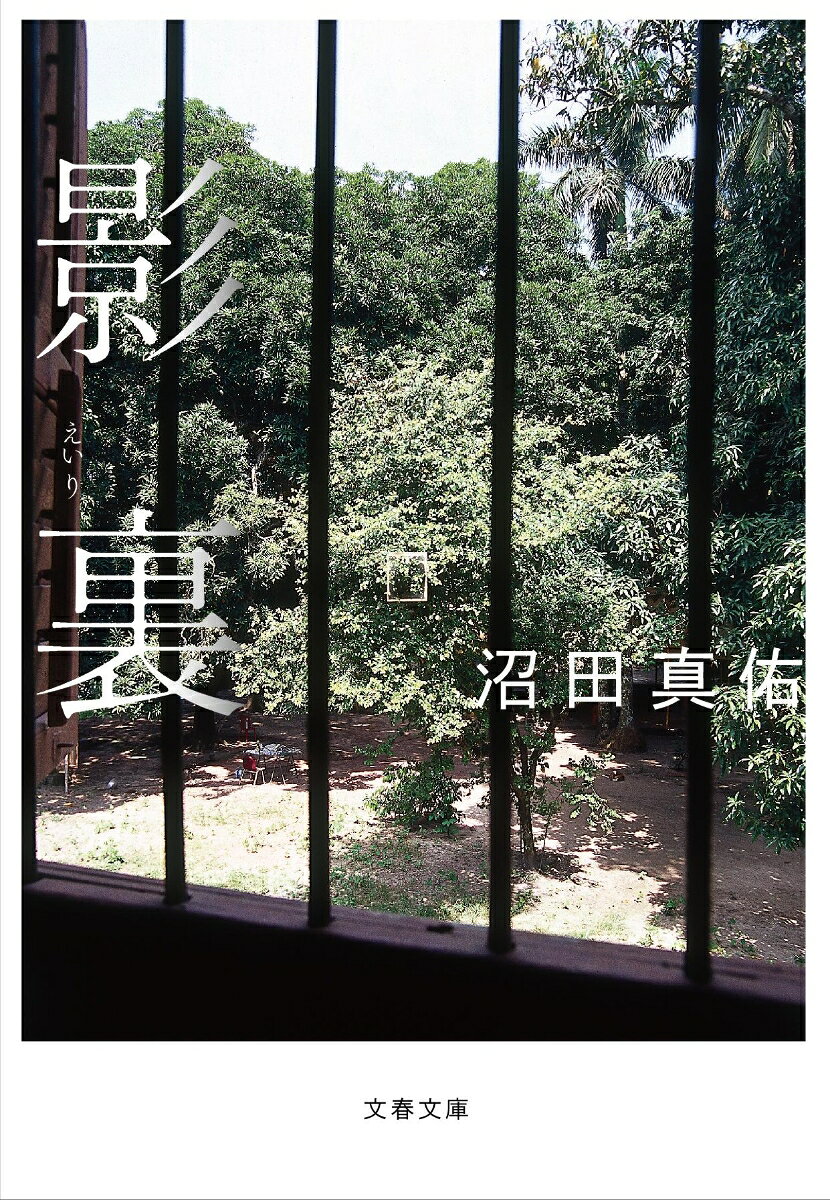 第157回芥川賞受賞作。

 大きな崩壊を前に、目に映るものは何か。

 北緯39度。会社の出向で移り住んだ岩手の地で、
ただひとり心を許したのが、同僚の日浅だった。
ともに釣りをした日々に募る追憶と寂しさ。
いつしか疎遠になった男のもう一つの顔に、
 「あの日」以後、触れることになるのだが……。

 樹々と川の彩りの中に、崩壊の予兆と人知れぬ思いを繊細に描き出す。

芥川賞受賞作に、単行本未収録の「廃屋の眺め」（「文學界」2017年9月号・受賞後第一作）、「陶片」（「文學界」2019年1月号）を併録。

綾野剛・松田龍平主演で映画化（大友啓史監督）、2020年初頭に公開予定。