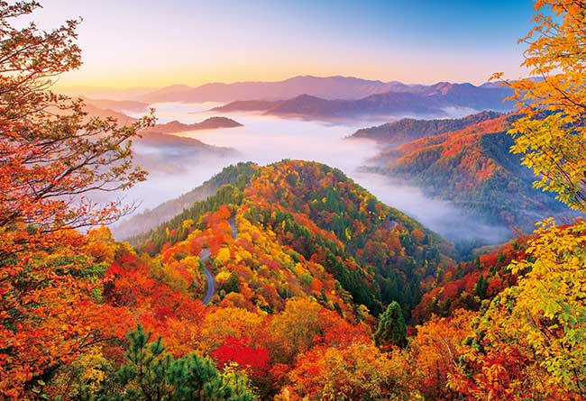 茜さす天空の道