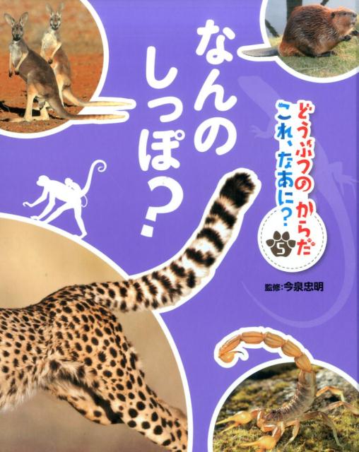 なんの　しっぽ？ （どうぶつのからだ　これ、なあに？　5） [ 今泉　忠明 ]