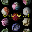 ドラマ「私たちはどうかしている」オリジナル・...