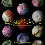 ドラマ「私たちはどうかしている」オリジナル・サウンドトラック [ 出羽良彰 ]