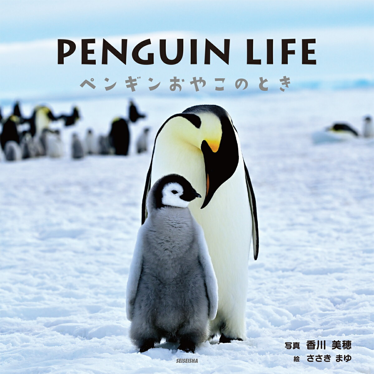 PENGUIN LIFE ペンギンおやこのとき [ 香川 美穂 ]