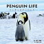 PENGUIN LIFE ペンギンおやこのとき