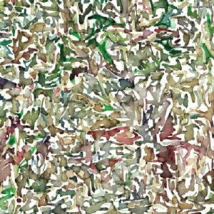 ドレスコーズトラッシュ ドレスコーズ 発売日：2012年07月11日 予約締切日：2012年07月04日 TRASH JAN：4988001733478 COZAー699/700 日本コロムビア(株) 初回限定 日本コロムビア(株) [Disc1] 『Trash』／CD アーティスト：ドレスコーズ 曲目タイトル： &nbsp;1. Trash [4:34] &nbsp;2. TANGO,JAJ [5:08] &nbsp;3. パラードの犬 [3:41] [Disc2] 『Trash』／DVD アーティスト：ドレスコーズ 曲目タイトル： 1.Trash ーPVー[ー] 2.Trash ーPV Makingー[ー] CD JーPOP ポップス DVD・ブルーレイ付