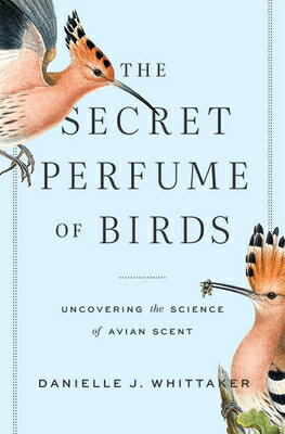 The Secret Perfume of Birds: Uncovering the Science of Avian Scent SECRET PERFUME OF BIRDS [ Danielle J. Whittaker ]