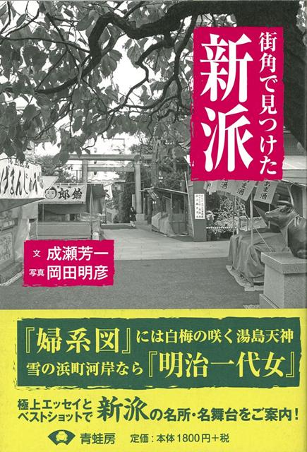 【バーゲン本】街角で見つけた新派